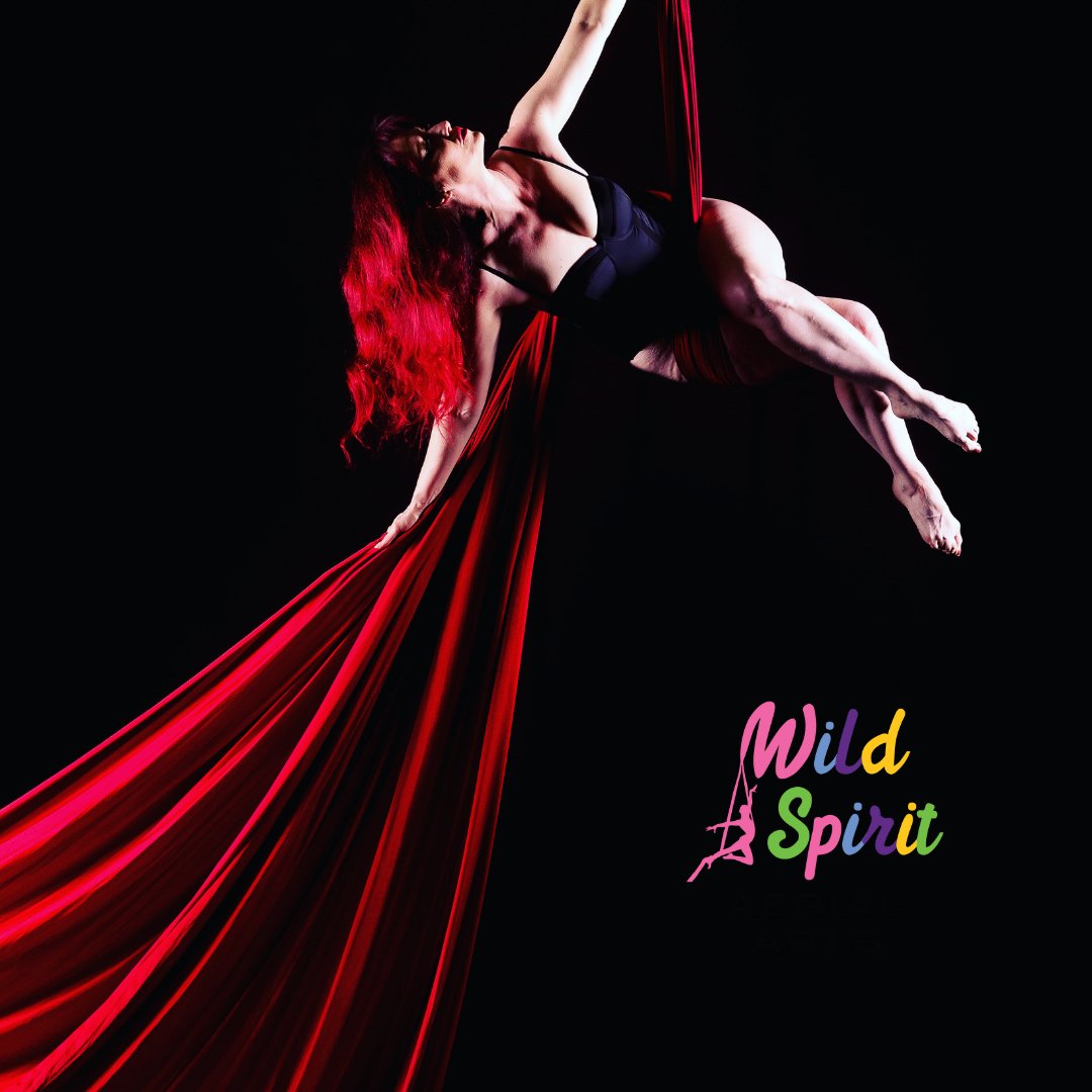 Wild Spirit Aerial Arts featured image