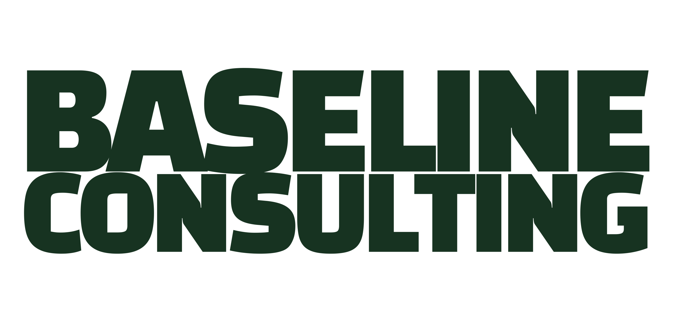 Baseline Consulting logo